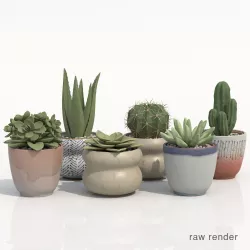 Collection Of Potted Cactus Plants 3D model