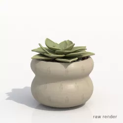 Echeveria Potted Cactus Plant 3D model