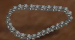 Flexible Chain