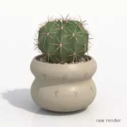 Gymnocalyium Potted Cactus Plant 3D model
