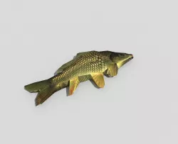 low poly fish Low-poly  3D model