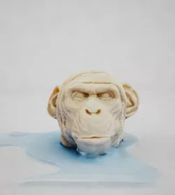monkey head 3D model