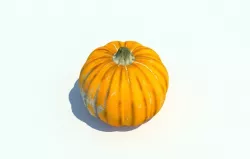 pumpkin 3D model