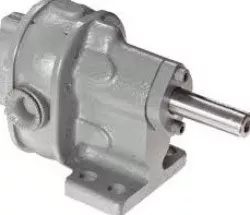 rotary gear pump
