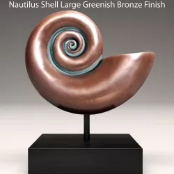 shell nautilus 3D model