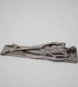 Skeleton 3D model