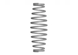 spring of valve (barrel)