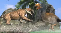 Titanis Walleri - Terror Bird RIGGED and ANIMATED vs Smilodon Low-poly  3D model