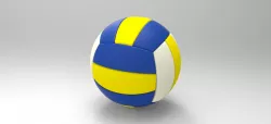 Volleyball Ball