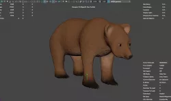 Wild bear called Bear-d 3D model
