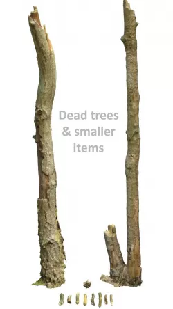 Woodland Photoscan Objects - smaller items and dead trees 3D model