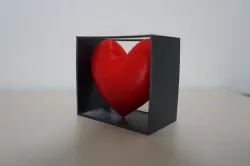 3D Heart