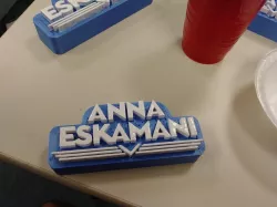 Anna Eskamani Campaign Logo in 3D