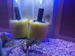 Aquarium Sponge Filter