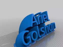 Ariel Goldman
