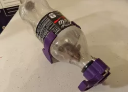 Bottle Mouse Trap