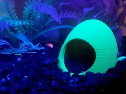 Fish House