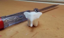 little elephant