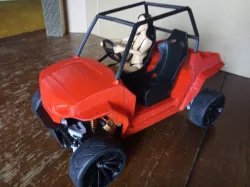 Polaris RZR