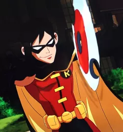 Robins Young Justice Batarangs