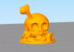 Skull On Plate