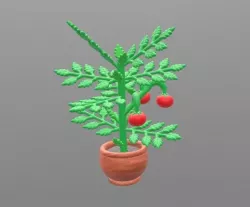 Tomato plant with removable tomatoes