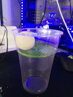 Beerpong cup ball filter