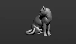 Cat pensive