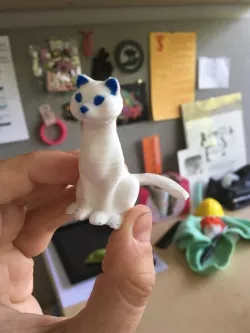 Cat With Little Pink Nose 