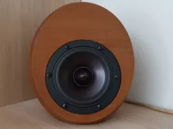 Egg Shaped Speaker