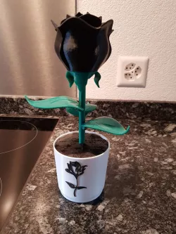 Flower pot