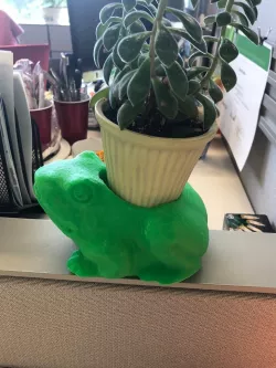 Frog Flower Pot