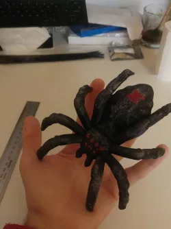 Geocache - Spider