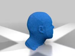 head model