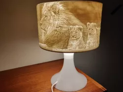 IKEA LAMPAN Lithophane lamp shade conversion
