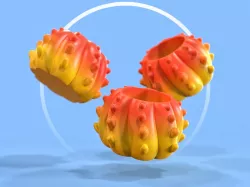Seudo Cactus Pot
