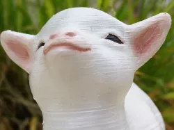 Smug goat