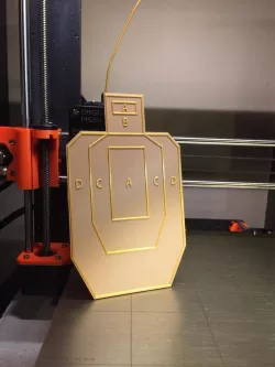 USPSA Dry Fire Target