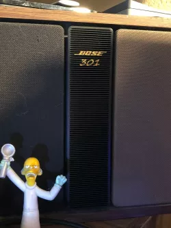 Bose 301 Middle Grill