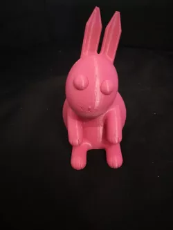 Bunny