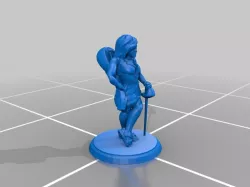 Female Half Elf Bard