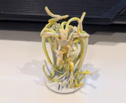 Gloomhaven Monster: Sun Demon