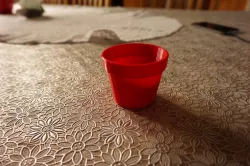low poly flower pot