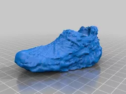 Photo Scan Of My Shoe