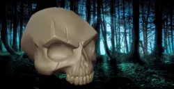 SKULL - SCAR