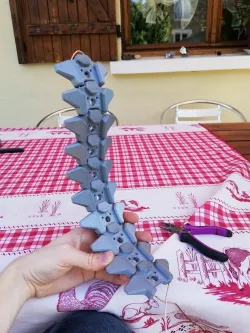 Spine for robot or creature 