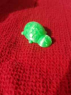 Tortoise