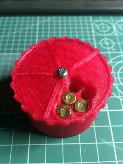 22lr 20 rounds case