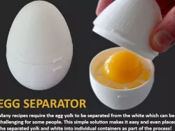 Egg Separator