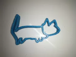 For Kiwi